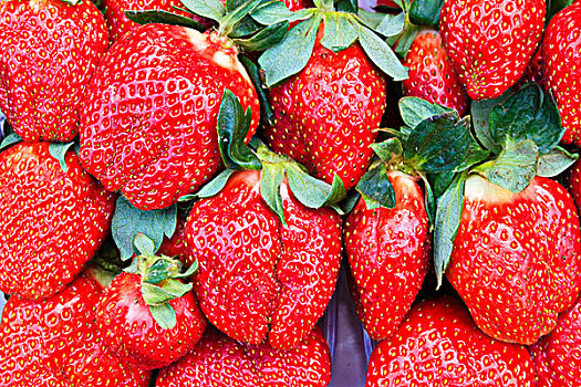 草莓,市场