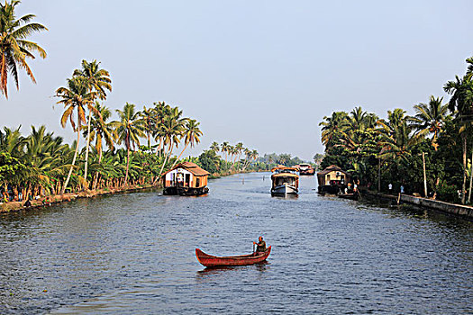 运河,死水,喀拉拉,印度南部,南亚,亚洲