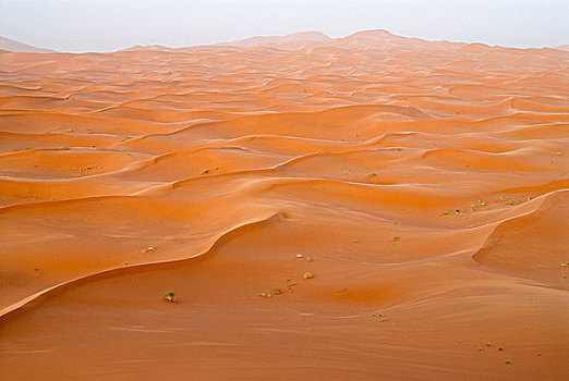 风景,却比沙丘,沙漠,摩洛哥