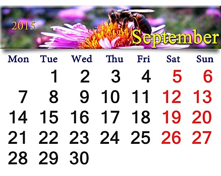 日程,九月,蜜蜂,花