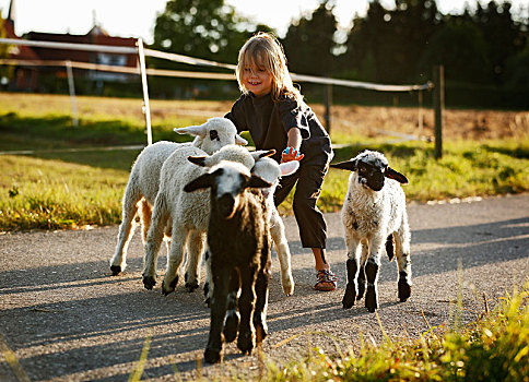 女孩,7岁,老,群体,羊羔,巴登符腾堡,德国,欧洲