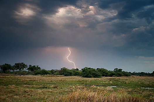 博茨瓦纳,非洲,草地,风景,闪电,风暴
