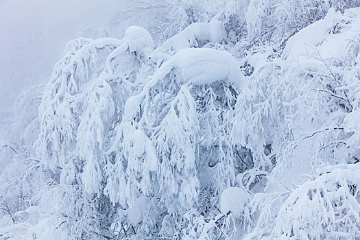 西岭雪山大雪的美丽风景