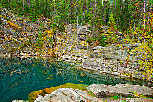 树,石头,悬崖,反射,安静,水,马掌,湖,碧玉国家公园,艾伯塔省,加拿大,大幅,尺寸