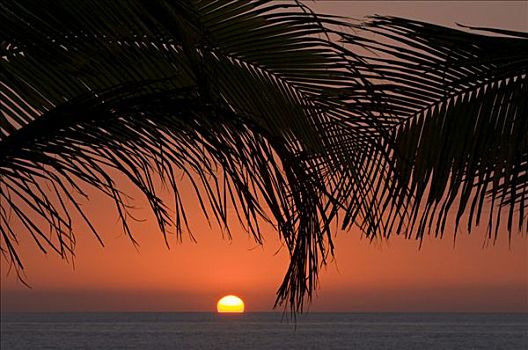 日落,帕尔玛,加纳利群岛,西班牙,欧洲