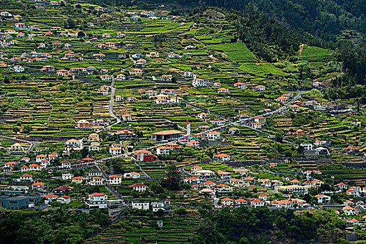 风景,乡村,马德拉岛,葡萄牙,欧洲