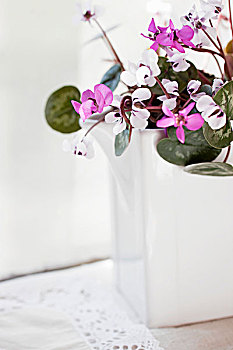 紫罗兰,白色,陶瓷,花瓶