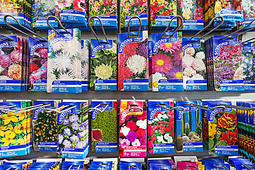 英格兰,汉普郡,花卉商店,花种,小包装