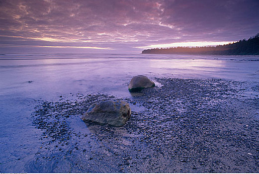 努特卡岛,不列颠哥伦比亚省,加拿大