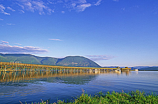 三文鱼,手臂,码头,湖,不列颠哥伦比亚省,加拿大