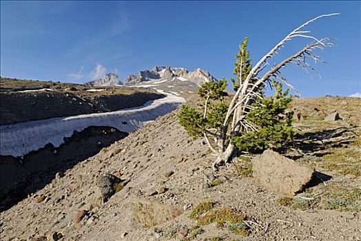 胡德山,火山,南方,喀斯喀特山脉,俄勒冈,美国