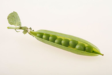 豌豆食品图片