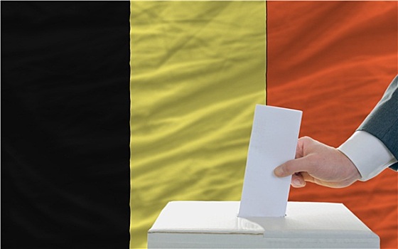 男人,投票,选举,比利时