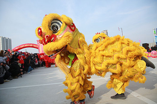 年货大集上醒狮欢腾,市民争相观看抚摸图个好彩头