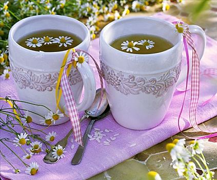 黄春菊,茶,大杯,带