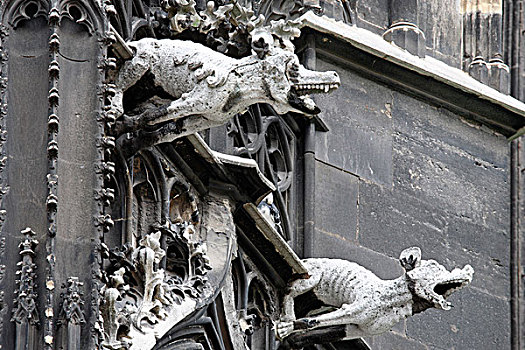 动物,滴水兽,大教堂,维也纳,奥地利