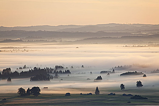 雾,上方,湖,科赫尔湖,苔藓,高山,巴伐利亚,德国