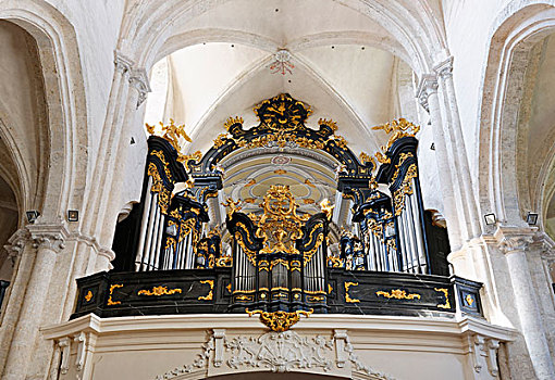 器官,教区教堂,西多会,莫斯托格,下奥地利州,奥地利,欧洲