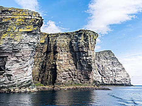 悬崖,岛,著名,自然保护区,巨大,海鸟,生物群,设得兰群岛,苏格兰,英国,大幅,尺寸