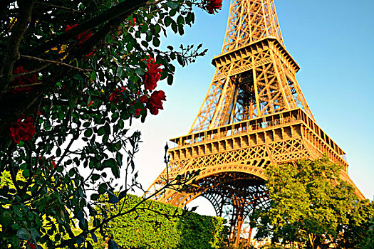 埃菲尔铁塔,花,花园,巴黎