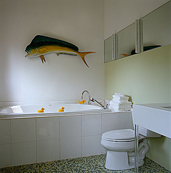 模型,鱼,墙壁,现代,卫生间,橡皮鸭,巡视,边缘,浴室