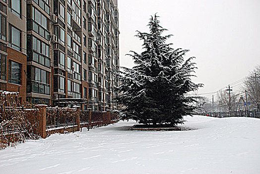 冬天北京住宅小区中的雪景