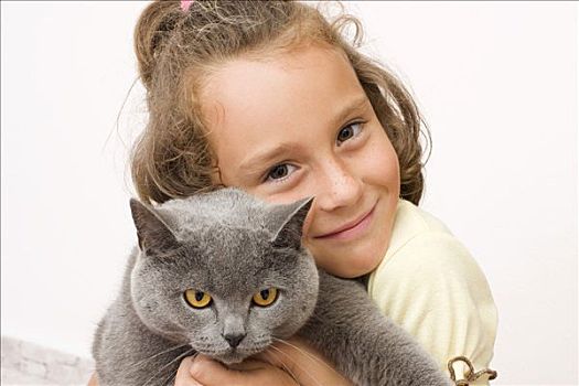 女孩,6岁,英国短毛猫,猫科动物,蓝色