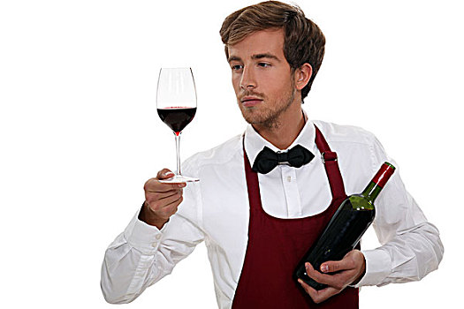 葡萄酒,服务员,看,葡萄酒杯