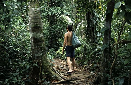 男人,雨林,哥斯达黎加,中美洲