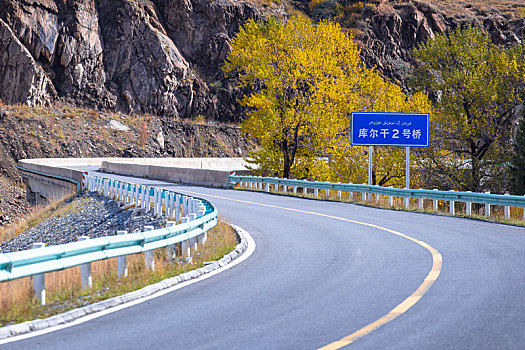 深秋,新疆独库公路库车河谷路段的弯道边长满了金色的山杨树,公路笔直的向远处的雪山下驶去