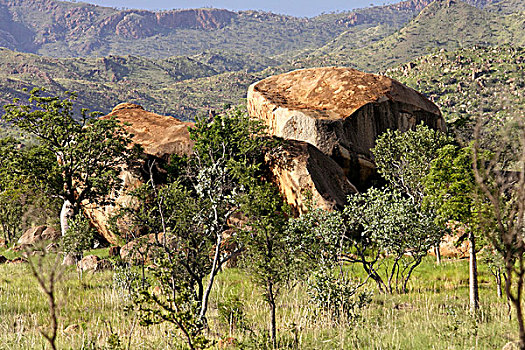 花冈岩,石头,金伯利,西北地区,澳大利亚