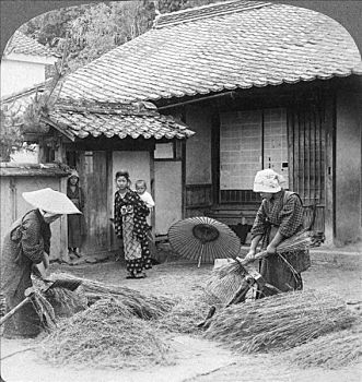 农民,妻子,工作,岩国,日本
