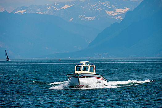 水,救助,汽艇,日内瓦湖,靠近,沃州,阿尔卑斯山,背影,瑞士,欧洲