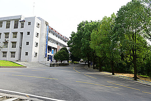 校园道路风景