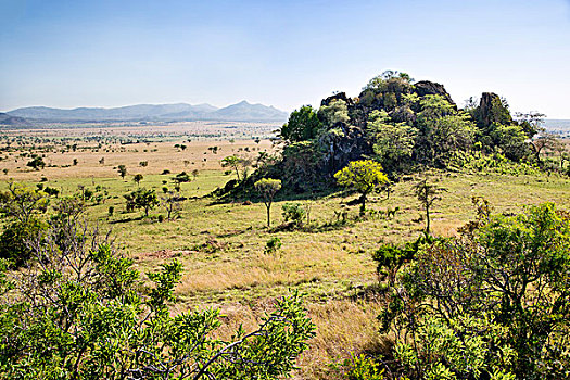 乌干达,美景,国家公园,荒野,极北地区,南苏丹