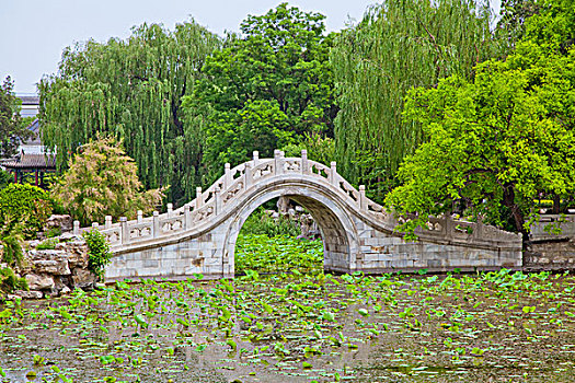 莲花池和石桥