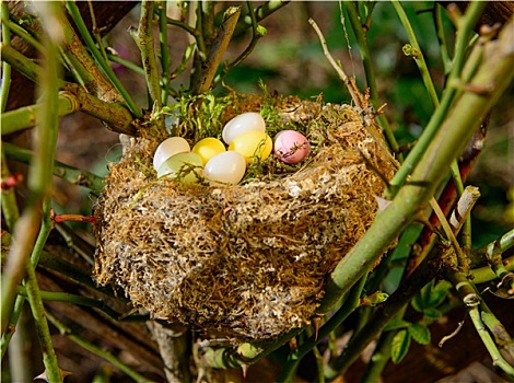 复活节彩蛋,花园