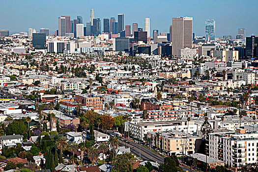 俯视,地区,洛杉矶市区,天际线