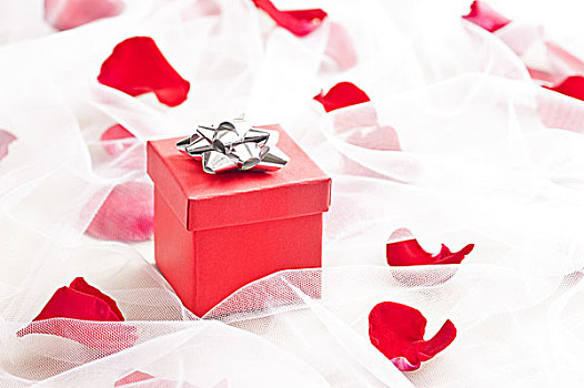 红色,礼盒,银,蝴蝶结,婚纱