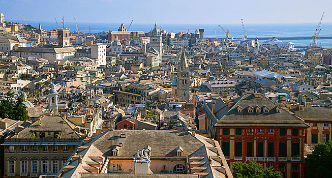 风景,老城,热那亚,利古里亚,意大利,欧洲