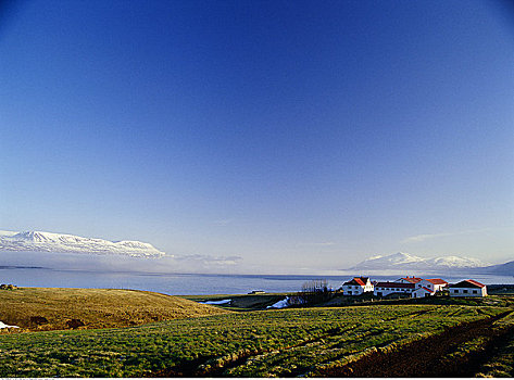 农舍,冰岛