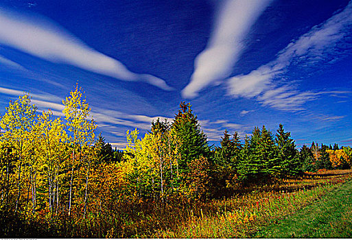 秋天,景色,赖丁山国家公园,曼尼托巴,加拿大