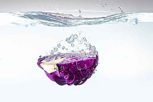 紫甘蓝入水