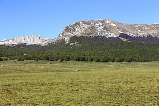 草原,高原,阿布鲁佐,风景,中心,亚平宁山脉,意大利