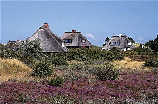 茅草屋顶,屋顶,房子,清单,叙尔特岛,德国,欧洲,北海