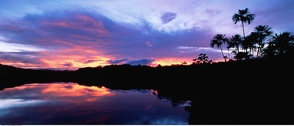 热带雨林,黄昏,亚马逊盆地,厄瓜多尔