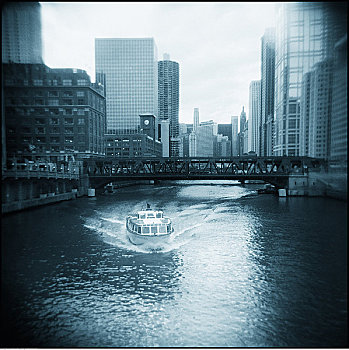 游船,河,芝加哥,伊利诺斯