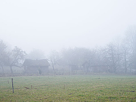 自然,谷仓,围绕,雾