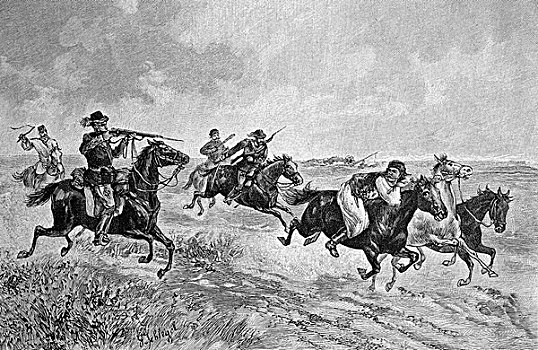 追逐,马,窃贼,匈牙利,历史,插画,1893年