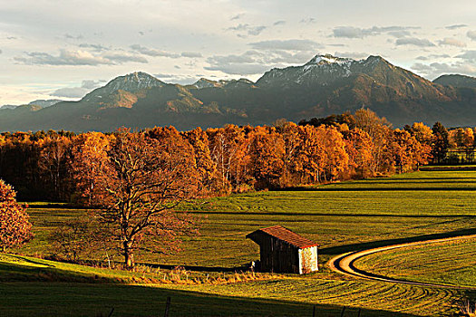 秋景,齐姆高,上巴伐利亚,德国,欧洲